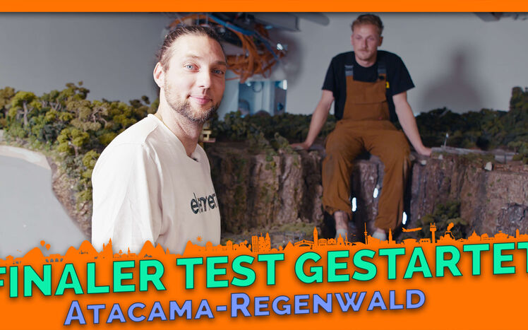 Thumbnail regenwald update 28